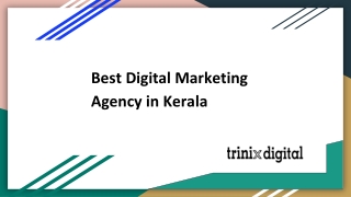 Top Digital Marketing Agency in Kerala