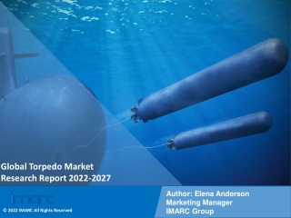 Global Torpedo Market Trends, Size