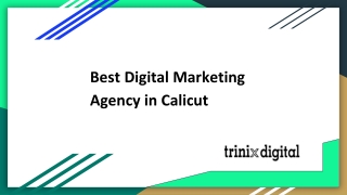 Top Digital Marketing Agency in Calicut - Kozhikode