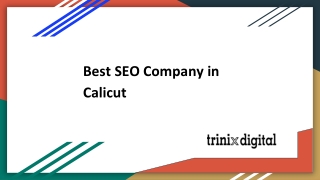 Best SEO Company in Calicut - Kozhikode