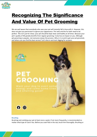 Recognizing The Significance And Value Of Pet Grooming