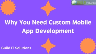 Custom Web Application Development Helps Businesses Get Fame