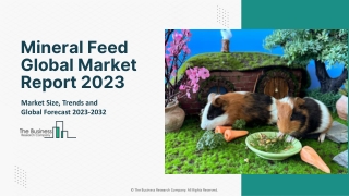 Mineral Feed Market
