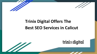 SEO Services in Calicut - SEO Company in Kozhikode