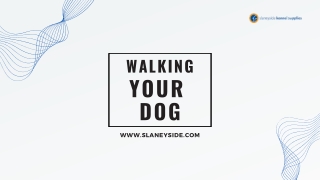 Walking Your Dog - Slaneyside Kennels