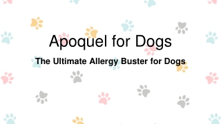 Apoquel: The Ultimate Allergy Buster for Dogs