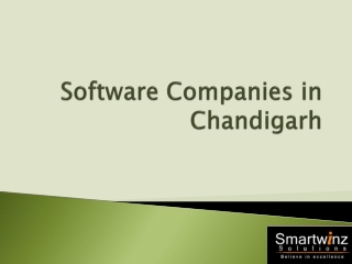 Software Companies in Chandigarh