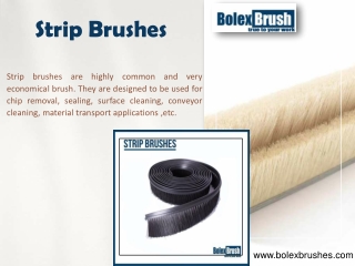 Strip Brushes