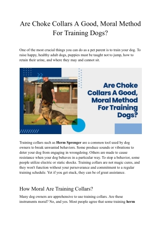 Are Choke Collars A Good, Moral Method For Training Dogs