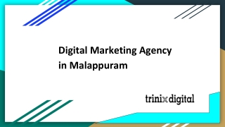 Top Digital Marketing Agency in Malappuram