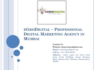 Search-Engine-Marketing-for-local-business-EgroDigital