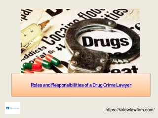 Roles and Responsibilities of a Drug Crime Lawyer