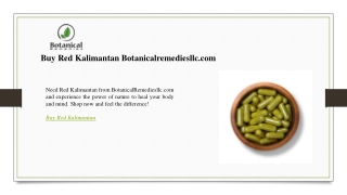 Buy Red Kalimantan Botanicalremediesllc.com