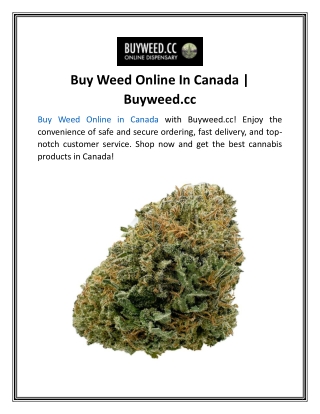 Buy Weed Online In Canada  Buyweed.cc