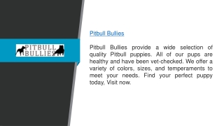 Pitbull Bullies  Pitbullbullies.com