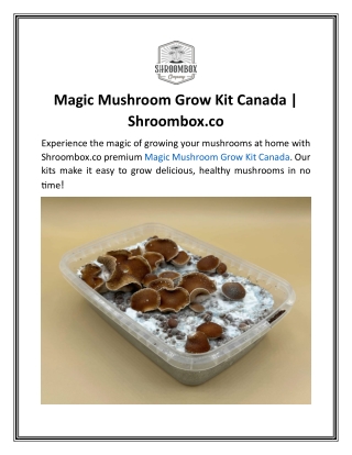 Magic Mushroom Grow Kit Canada  Shroombox.co