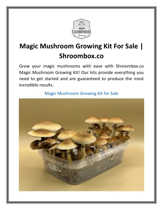 Magic Mushroom Growing Kit For Sale  Shroombox.co