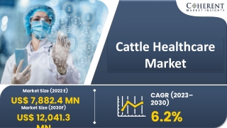 Cattle Healthcare Market