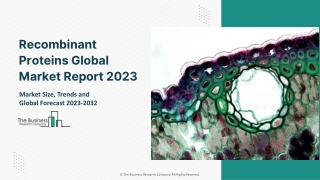 Recombinant Proteins Market - Growth, Strategy Analysis, And Forecast 2032