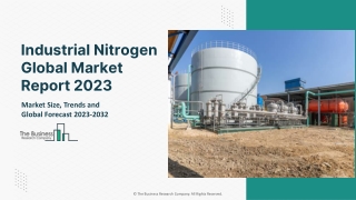 Industrial Nitrogen Market