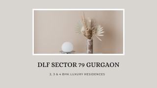 DLF Sector 79 Gurgaon - PDF