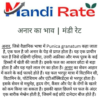 अनार का भाव - मंडी रेट
