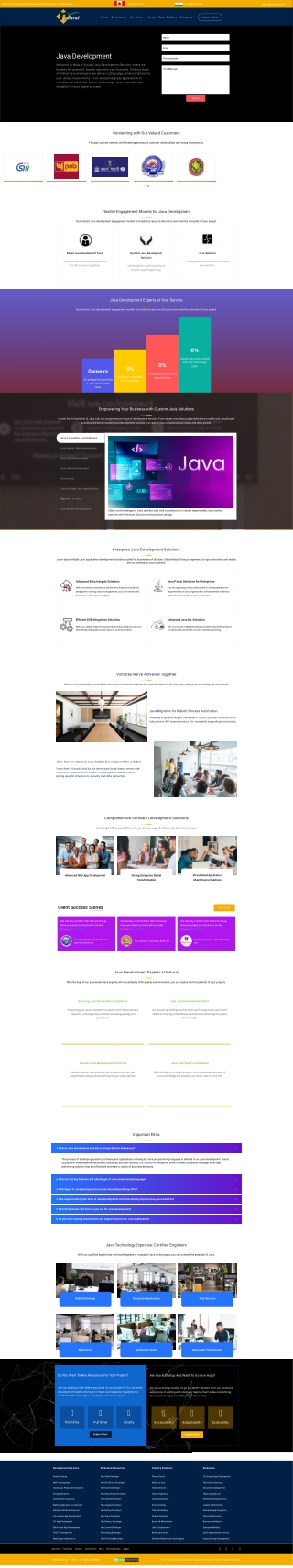Java Development Services By Natural Group