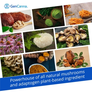 Powerhouse of all natural mushrooms and adaptogen plant-based ingredient