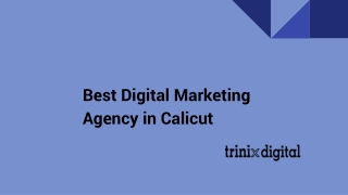 Which Is The Best Digital Marketing Agency in Calicut