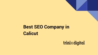 Which Is The Best SEO Company in Calicut