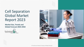 Cell Separation Market Overview 2023-2032 – Trends, Analysis And Insights