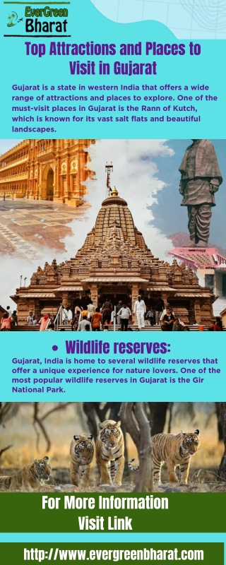 Top Attractions and Places to Visit in Gujarat infographic