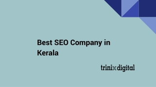 Which Is The Best SEO Company in Kerala