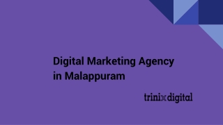 Which Is The Best Digital Marketing Agency in Malappuram