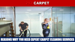Reasons Why You Need Expert Carpet Cleaning Services