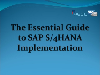 the essential guide to sap services