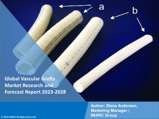 Vascular Grafts Market Research and Forecast Report 2023-2028