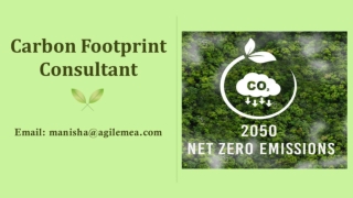 Carbon Footprint Consultant and their importance in the Business world