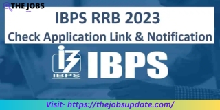 IBPS RRB Online Application 2023  Thejobsupdate