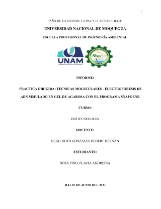 INFORME PRACTICA SIMULACION DE ELECTROFORESIS EN GEL DE AGAROSA-SOSA PINO