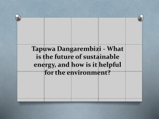 Tapuwa Dangarembizi - What is the future of sustainable energy, and how is it helpful for the environment