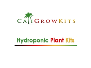 Hydroponic Plant Kits