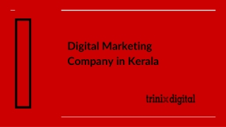 Digital Marketing Service Company in Kerala, Calicut