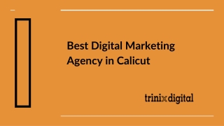 Best Digital Marketing Service Agency in Calicut