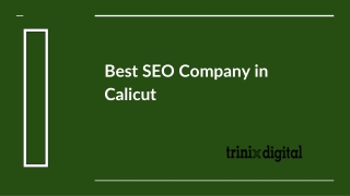 Best SEO Services Company in Calicut | Kozhikode