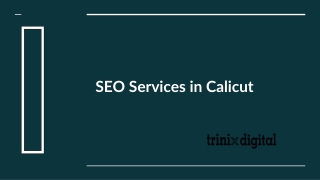 Best SEO Services in Calicut | Kozhikode