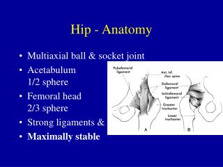 case presentation hip