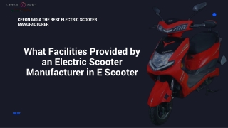 What Facilities Provided by an Electric Scooter Manufacturer in E Scooter