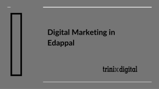 Best Digital Marketing Service & Agency in Edappal