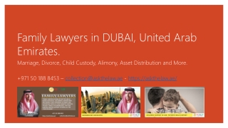 Family Lawyers | Divorce Lawyers | Child Custody and Alimony